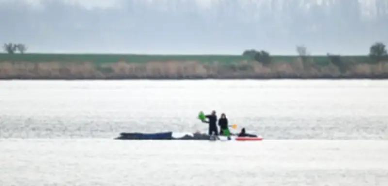 Rettungsaktion für gestrandeten Buckelwal vor Poel: Emotionen und Spannungen am Ufer