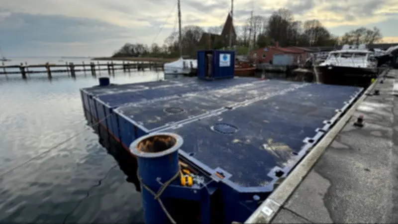Rettungsaktion für gestrandeten Buckelwal vor Poel: Große Pumpe und Pontons im Einsatz