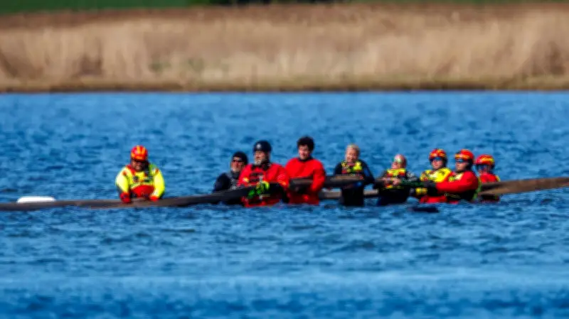 Rettungsaktion in der Ostsee: Wal-Transport zur Nordsee steht bevor