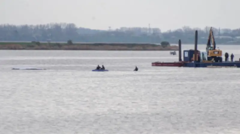 Rettungsmission in der Ostsee: Entscheidende Phase für den gestrandeten Buckelwal vor Poel