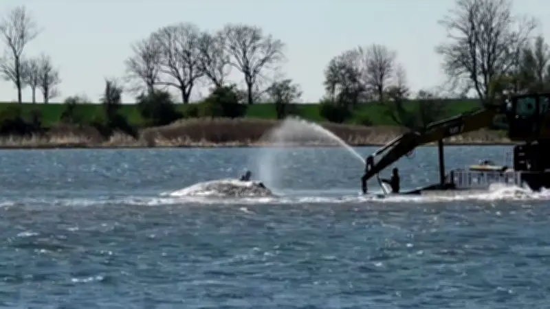 Rettungsversuche für Timmy gehen weiter: Helfer befeuchten Haut des Jungen