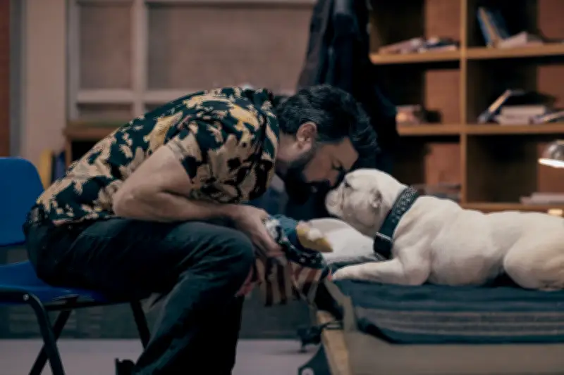 Risse im Heldenbild: Warum die Antihelden-Serie 'The Boys' so fesselt