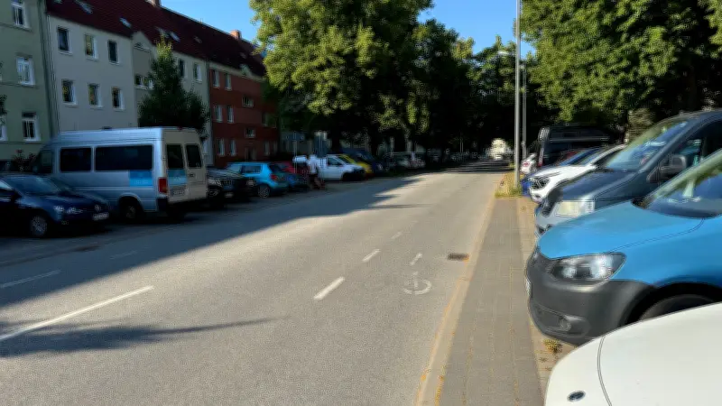 Rostocks historische Lindenallee in Gefahr: Parkdruck bedroht 100-jährige Bäume