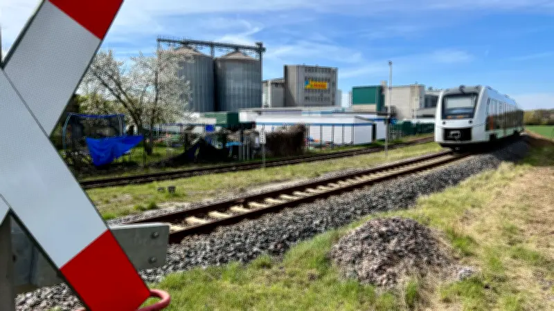 Rätselhafte Klopfgeräusche in Könnern: Nachtruhe gestört - Ursache unklar