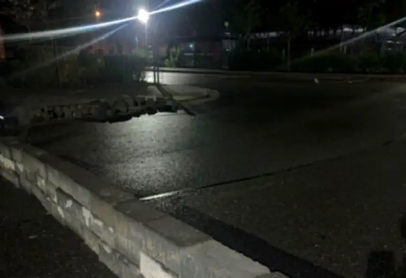 Rätselhafte Steinmauer auf Schulbusbahnhof in Lindhorst blockiert Fahrbahn