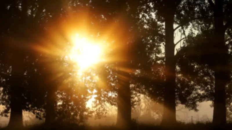 Rätselhafter Rettungseinsatz im Harz: Ukrainischer Mann aus Wald bei Ballenstedt geborgen