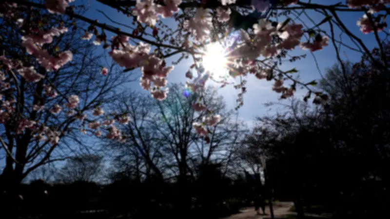 Sachsen-Anhalts Wetter: Wechselhafte Frühlingstage mit Sonne, Regen und Schnee