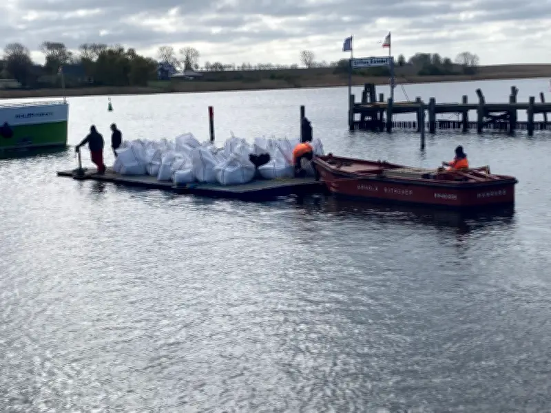 Sandsäcke sollen gestrandeten Buckelwal vor Flachwasser schützen