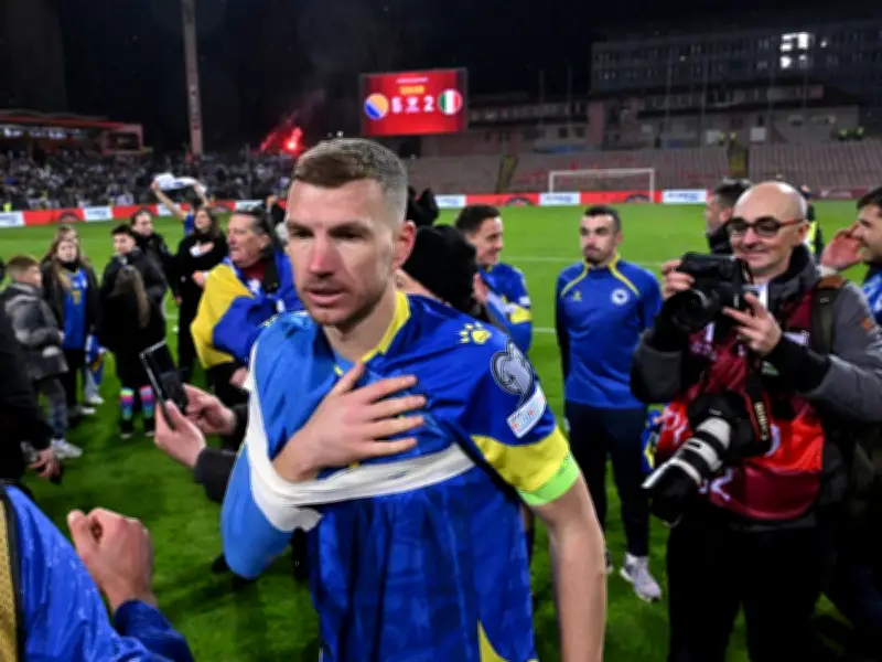 Schalke 04 muss auf Edin Dzeko verzichten: Schulterverletzung nach Bosnien-Spiel