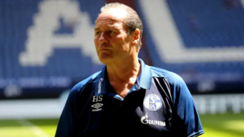 Schalke-Legende Stevens: Aufstieg ohne Dzeko wird zur Herkulesaufgabe