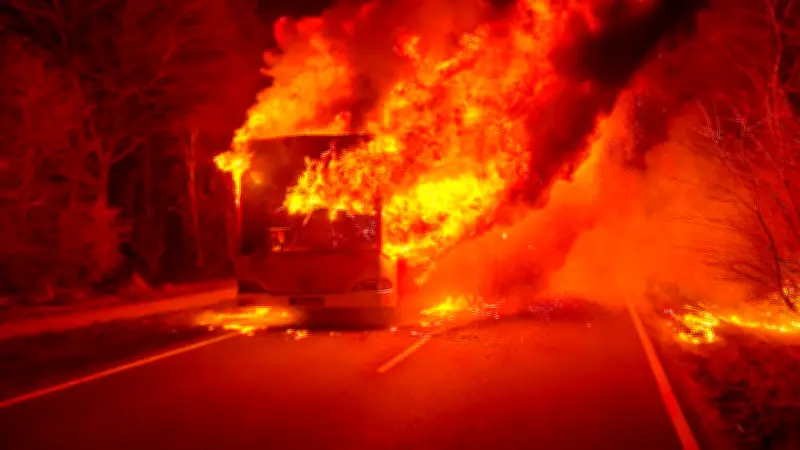 Schleswig-Holstein: Alle Fahrgäste unverletzt nach spektakulärem Busbrand auf Landstraße