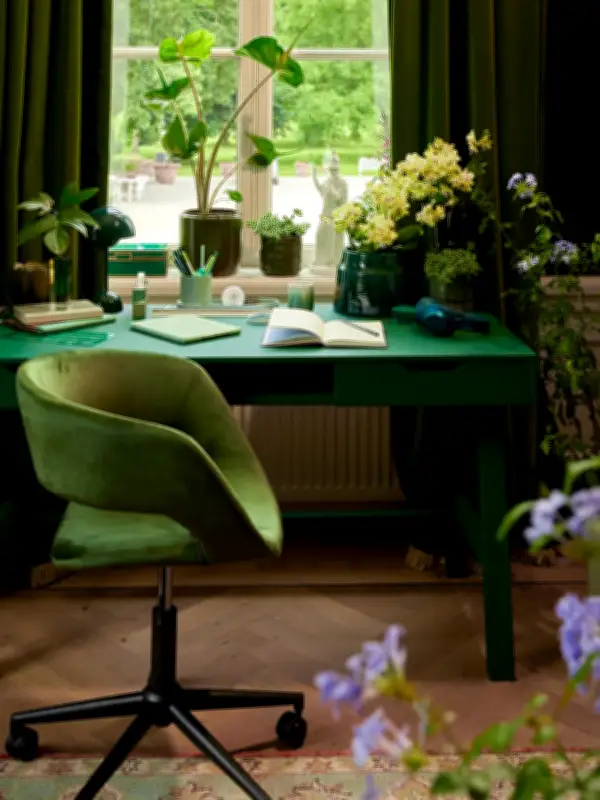 Schreibtischpflanze: Diese 3 Gewächse überleben Ihr Homeoffice