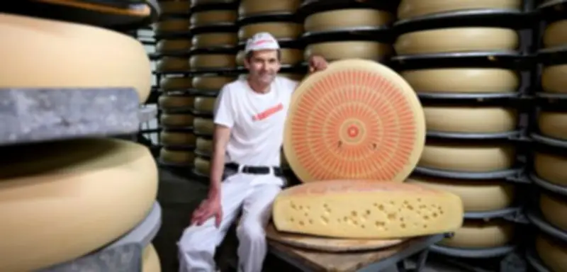 Schweizer Käser retten Löcher im Emmentaler mit Heublumenpulver