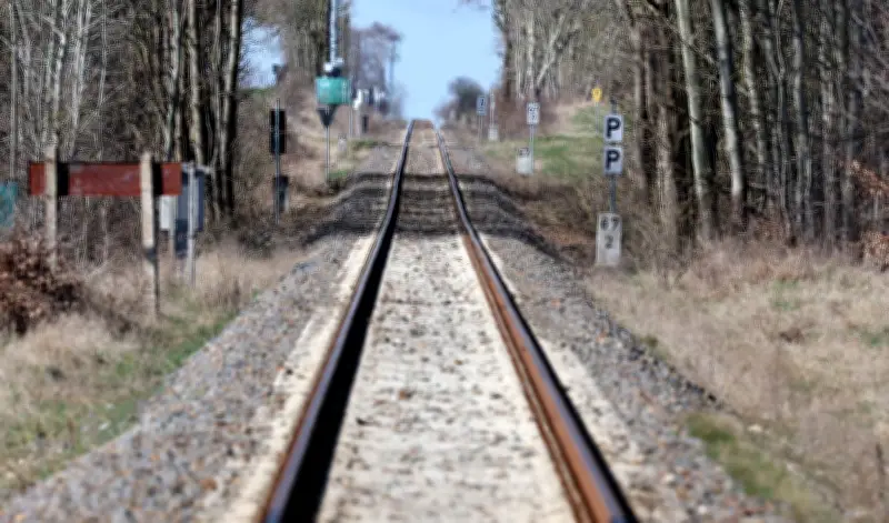 Südbahn startet Saisonverkehr: Zugreisen durch die Mecklenburgische Seenplatte
