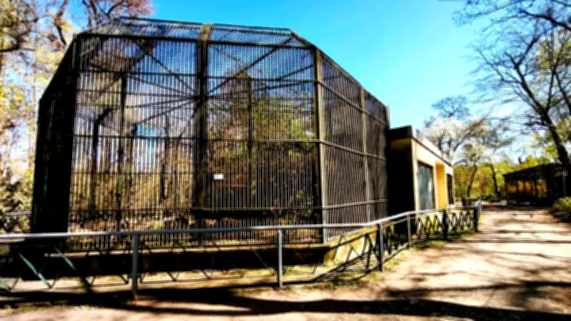Südpark Merseburg: Umbaupläne für Wildtierhaus bringen mehr Platz für Wildkatze und Waschbären
