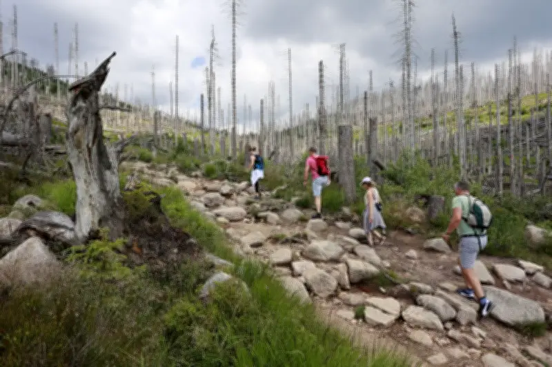 Sicherheit im Harz: Bergwacht warnt vor blindem Vertrauen in Wander-Apps