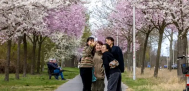 Sommerliche Temperaturen zur Wochenmitte: Erster Sommertag 2026 in Sicht