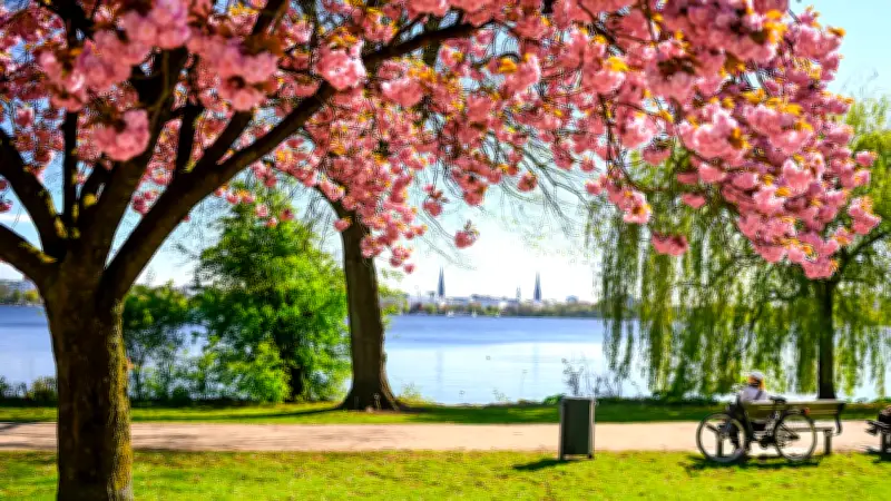 Sonne pur im Südwesten: Pollen-Alarm für Allergiker