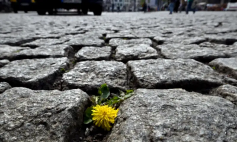 Sonnige Aussichten: Regenwolken weichen in Thüringen – Sonne kehrt zurück