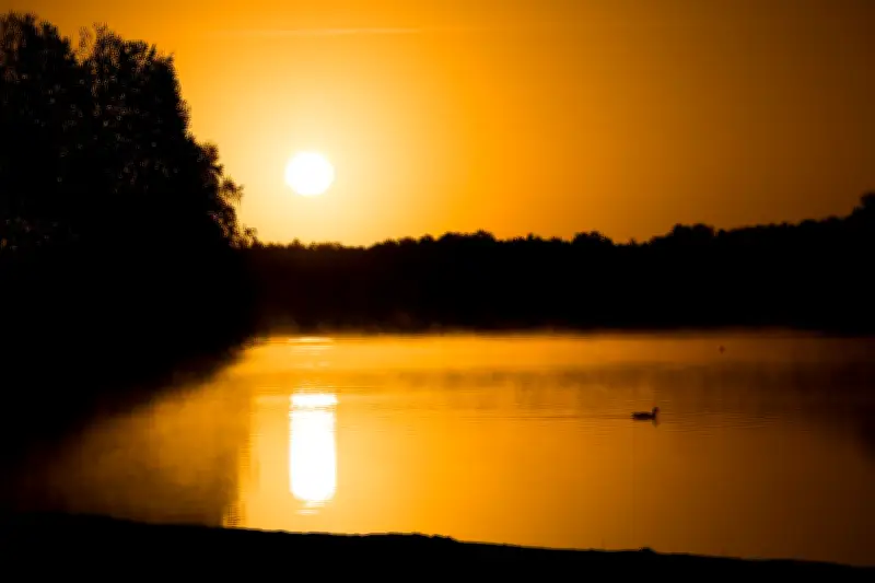 Sonniges Frühlingswetter in Niedersachsen und Bremen erwartet