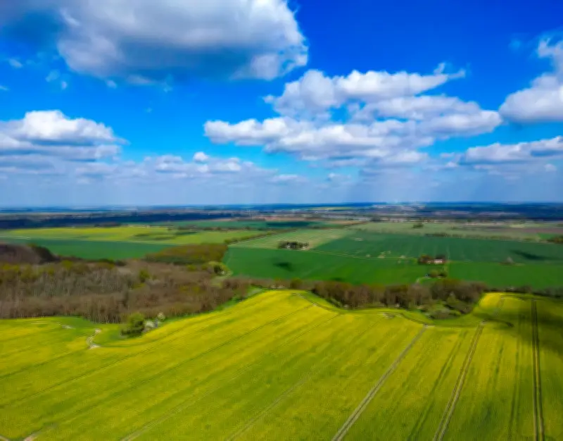 Sonniges Frühlingswochenende in Berlin und Brandenburg erwartet