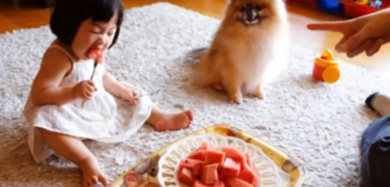 Sony World Photography Awards 2026: Mexikanische Künstlerin Citlali Fabián gewinnt Hauptpreis