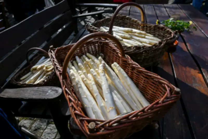 Spargelzeit in Brandenburg: Ernte, Preise und kulinarische Besonderheiten