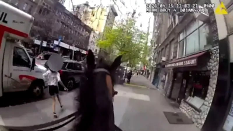 Spektakuläre Verfolgungsjagd in Manhattan: Polizist zu Pferd jagt mutmaßliche Taschendiebin