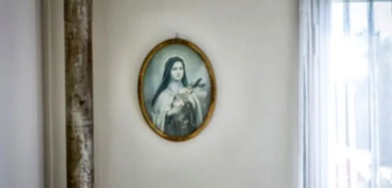 SPIEGEL+ Abo-Modell: Zugang zu Premium-Artikeln und digitalen Ausgaben