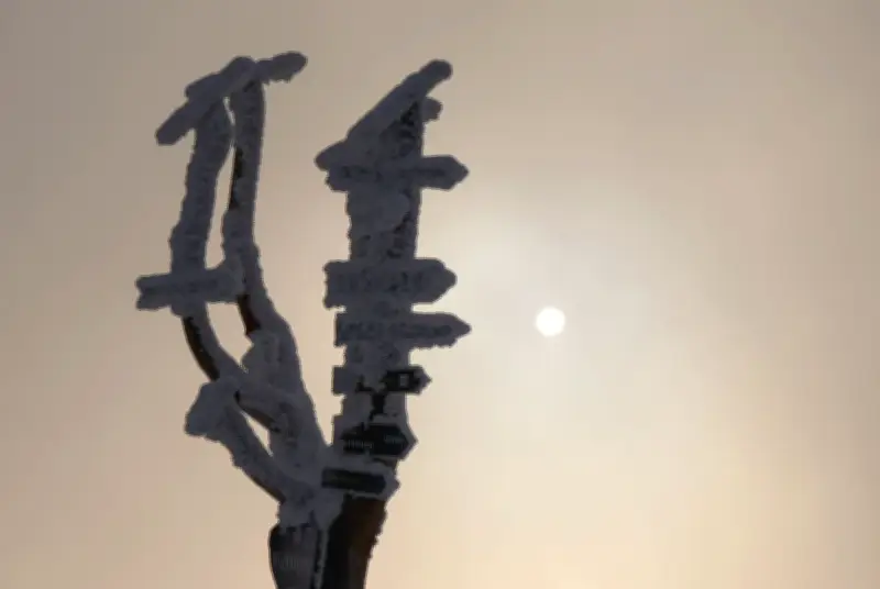 Später Wintergruß: Leichter Schneefall im Erzgebirge zum Wochenende