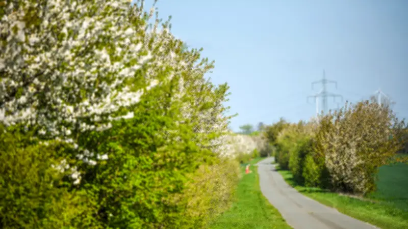Spätfrost-Alarm im Saalekreis: Obst- und Weinbauern fürchten erneut massive Ernteausfälle