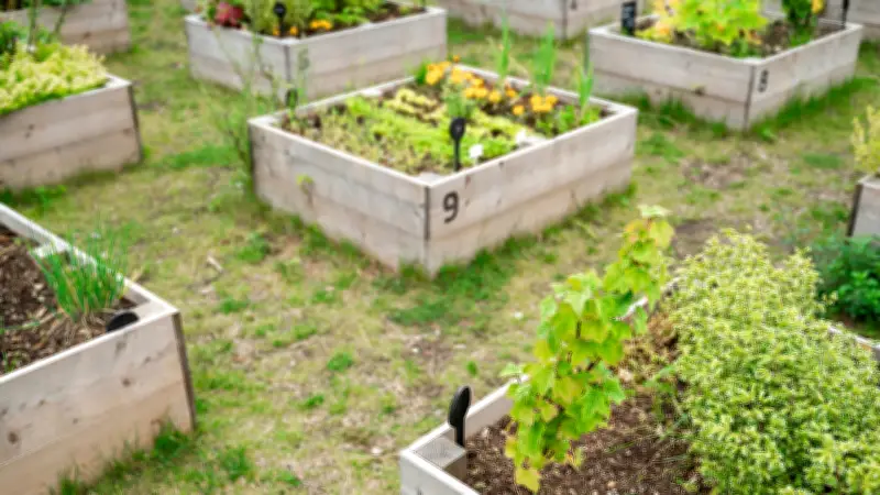 Square Foot Gardening: Effizient gärtnern auf kleinem Raum