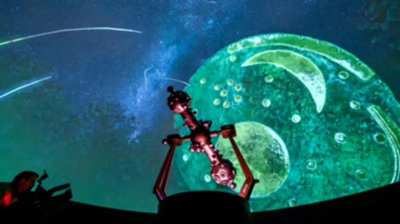 Städtetourismus im Aufwind: Diese „Wessis“ lieben Halle