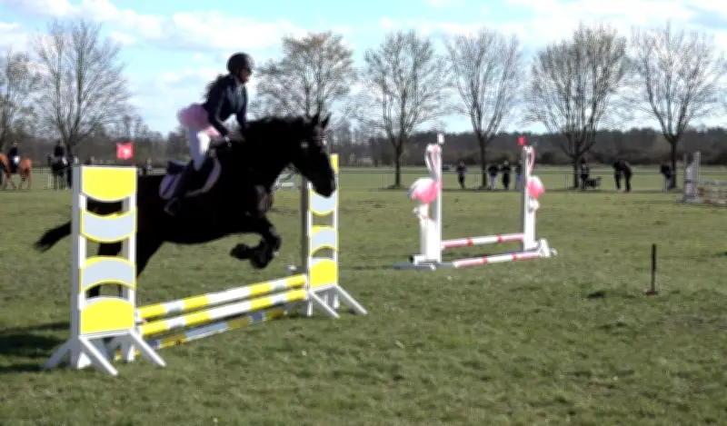 Steckenpferd-Wettbewerb in Susigke: Frühlingserwachen mit verrückter Reiterei und Laufparcours