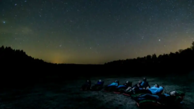 Sternenpark in Gefahr: Windkraft-Projekt bedroht Dunkelheitsschutz in der Nossentiner Heide