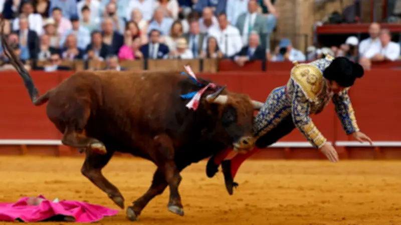 Stierkampf-Drama in Sevilla: Matador Morante de la Puebla schwer verletzt