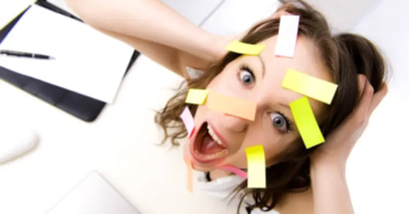 Studie: Flavanolreicher Kakao schützt Blutgefäße vor Stressfolgen