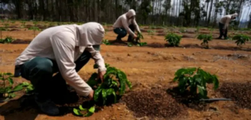 Super-El-Niño 2026: Klimaforscher warnt vor drastischen Folgen für Deutschland