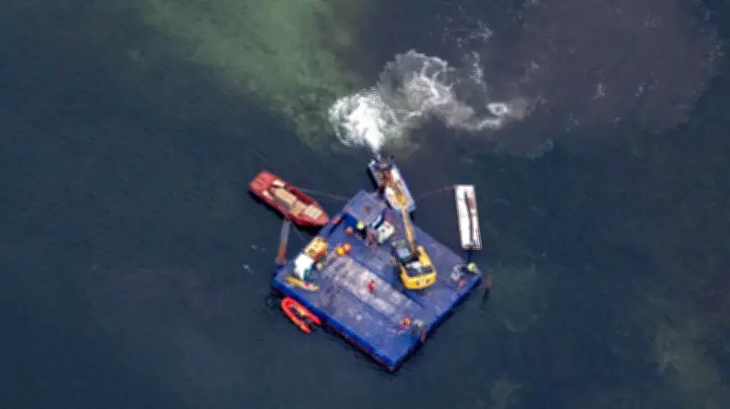 Tag 4 der Walrettung vor Poel: Santiano übt scharfe Kritik an privaten Rettern