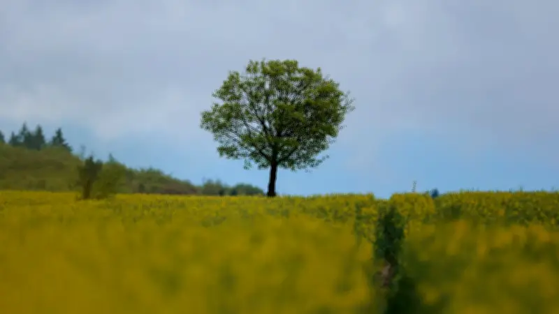 Tag des Baumes 2026: Warum Bäume für uns Menschen überlebenswichtig sind