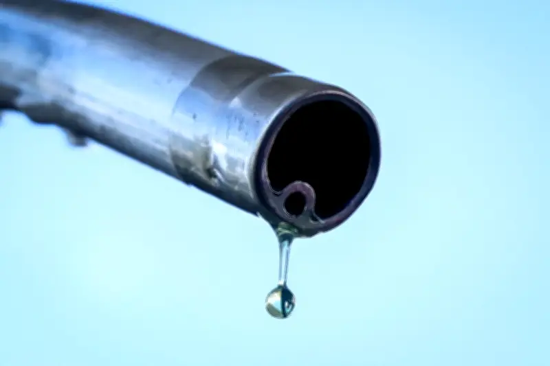 Tankrabatt ab 1. Mai: Sprit um 17 Cent billiger – was Sie wissen müssen