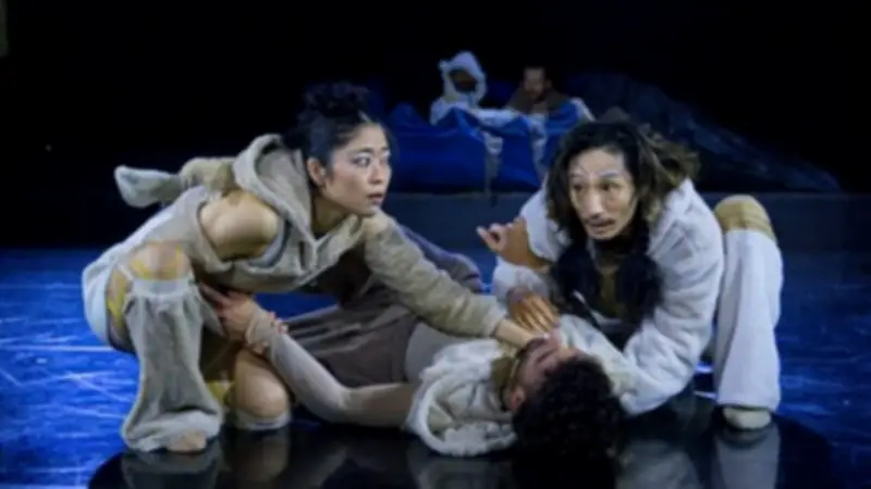 Tanzabend in Rostock: Abschied und Identität im Fokus der Choreografen