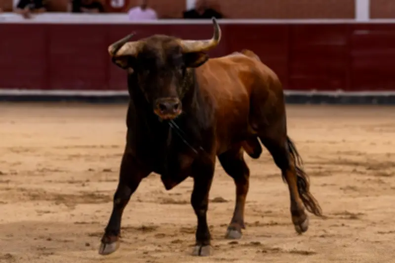 Tödlicher Vorfall in Málaga: Kampfstier tötet ehemaligen Matador bei Arena-Vorbereitung