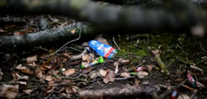 Tödliches Baumunglück bei Flensburg: Staatsanwaltschaft ermittelt nach Ostereiersuche