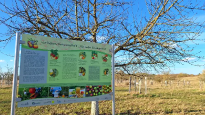 Templiner Sortenschaugarten: Neue Tafeln für alte Apfelsorten wie Hasenkopf und Großherzog Friedrich