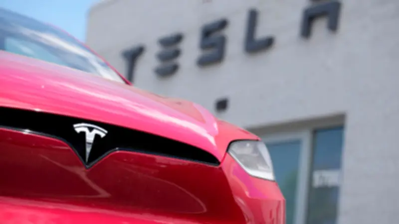 Tesla-Fahrer erhält Knöllchen trotz Elektroauto: Fehlendes E-Kennzeichen kostet 20 Euro