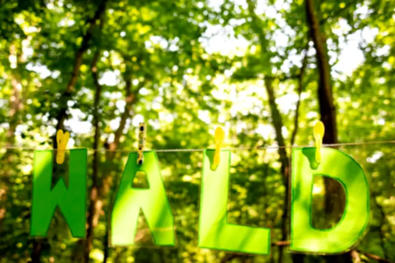 Thüringer Waldjugendspiele starten Ende April: 10.000 Kinder entdecken den Wald