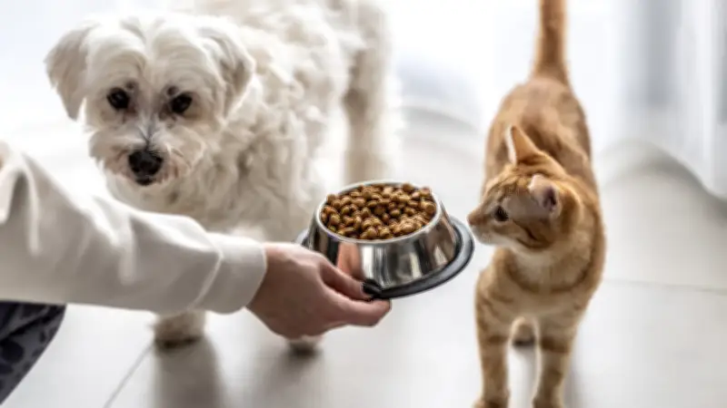 Tierfutter-Rückruf: Tackenberg warnt vor nicht deklarierten Schweinebestandteilen