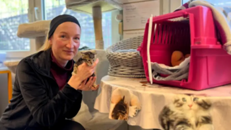 Tierleid im Saalekreis: Sechs Katzenbabys in Beutel entsorgt - Balthasara kämpft ums Überleben