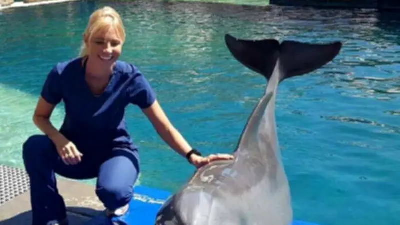 Tierärztin verlässt Walrettung: Schwere Vorwürfe gegen Walflüsterer in Ostsee-Einsatz